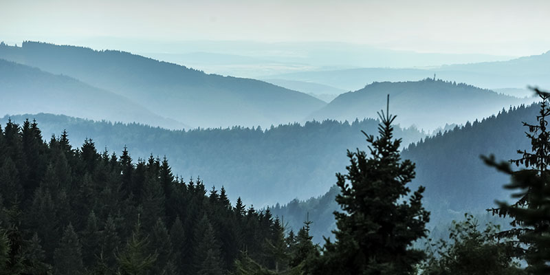 Thüringer Wald - Oberhof